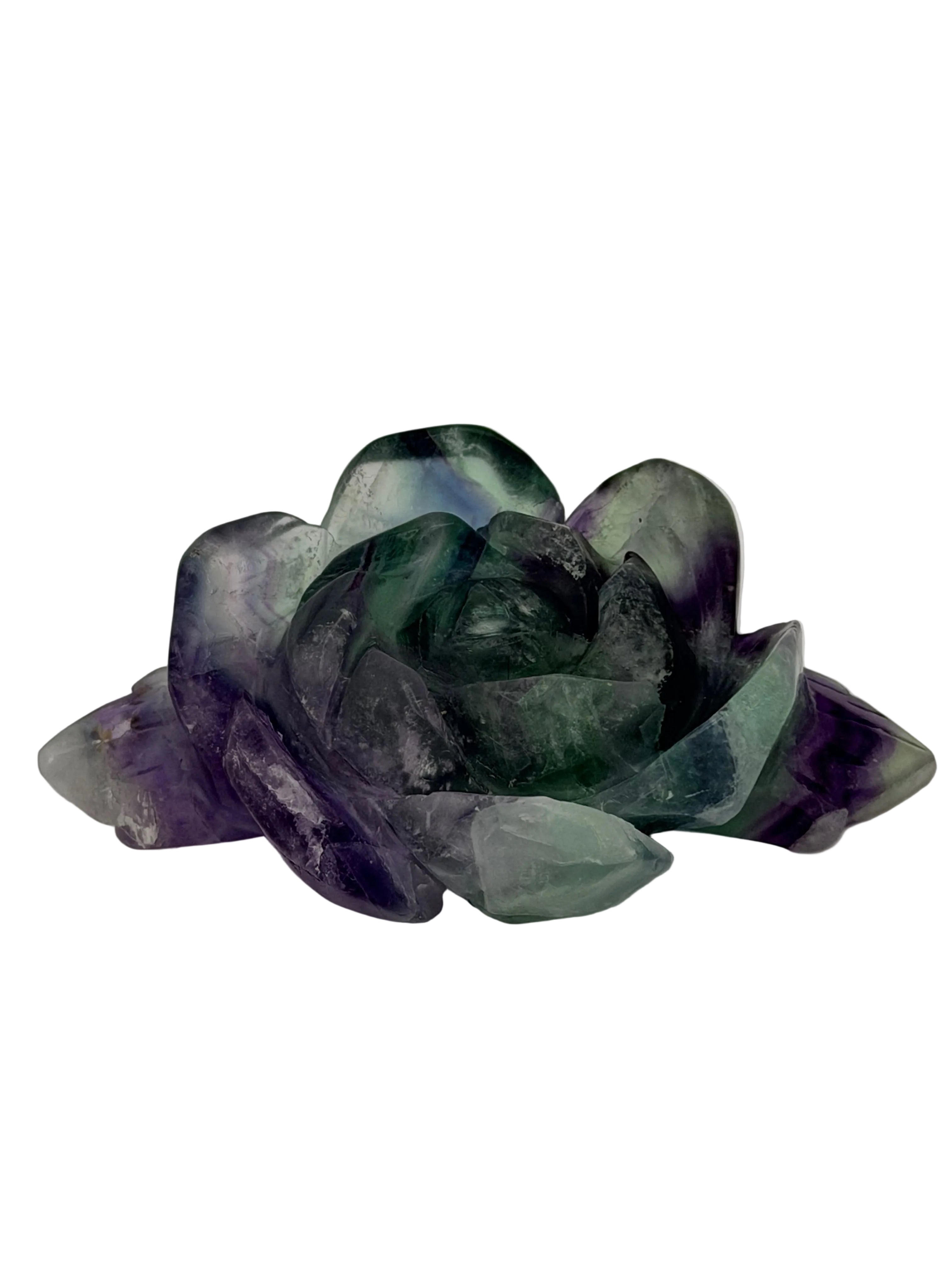Rainbow Fluorite Rose