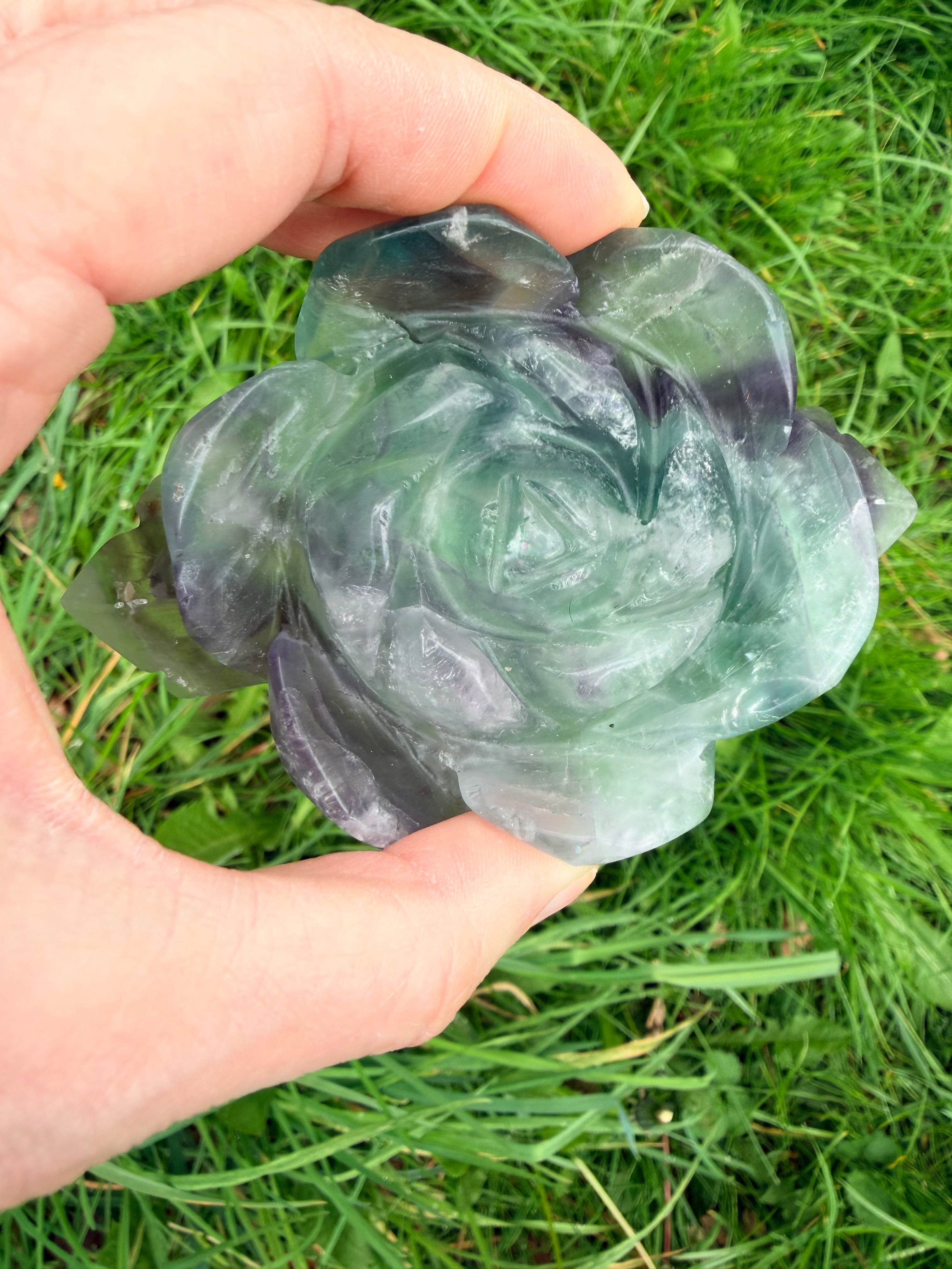 Rainbow Fluorite Rose