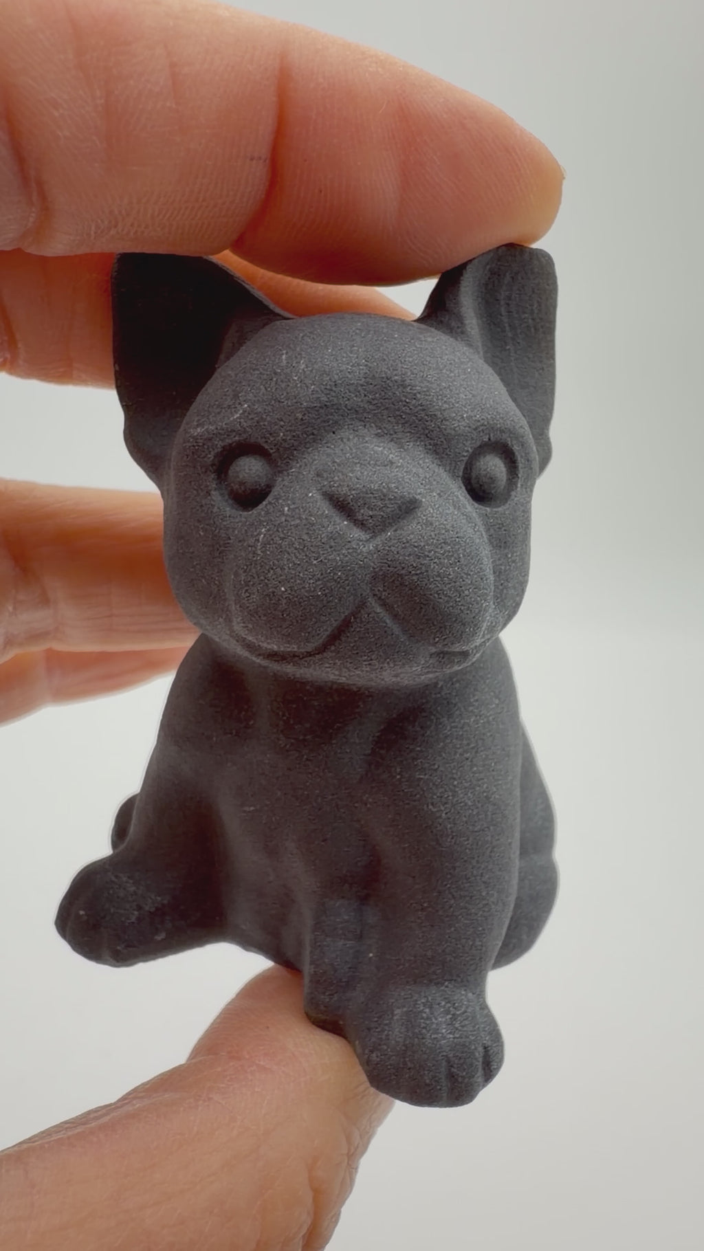 Black Obsidian French Bulldog