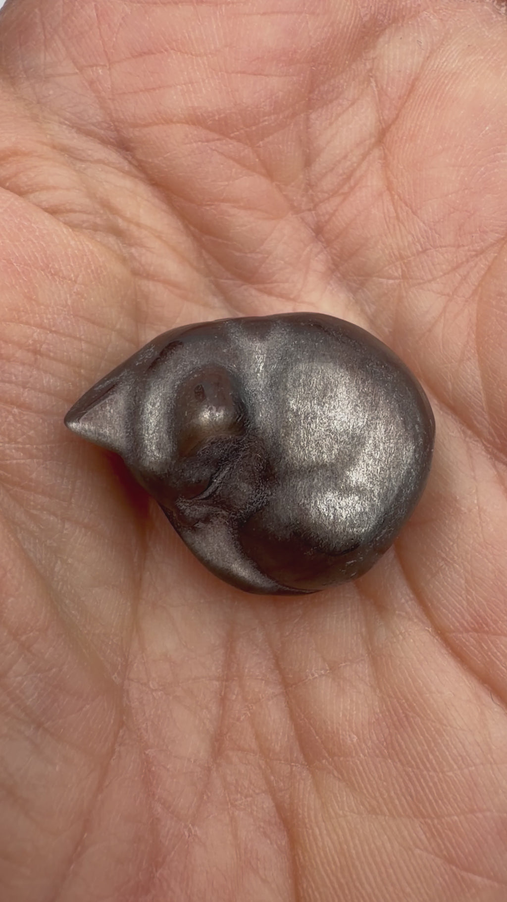 Black-Silver sheen Obsidian mini kitten sleeping protection stone