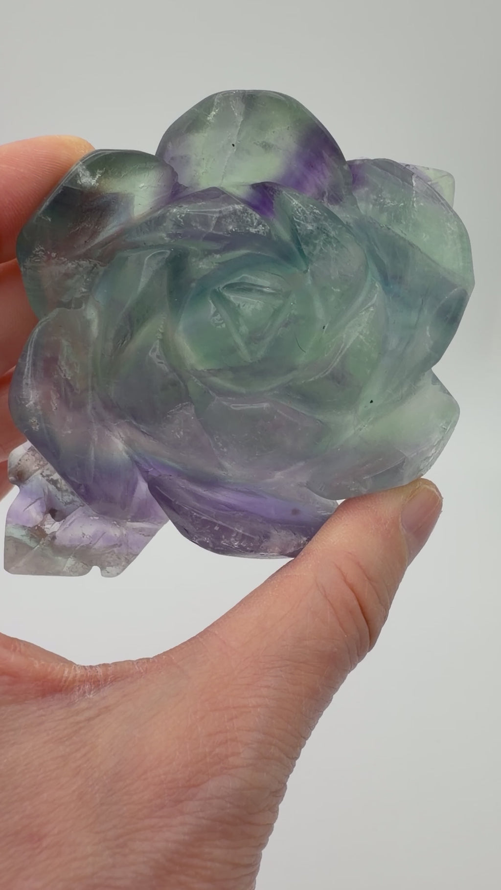 Rainbow Fluorite Rose