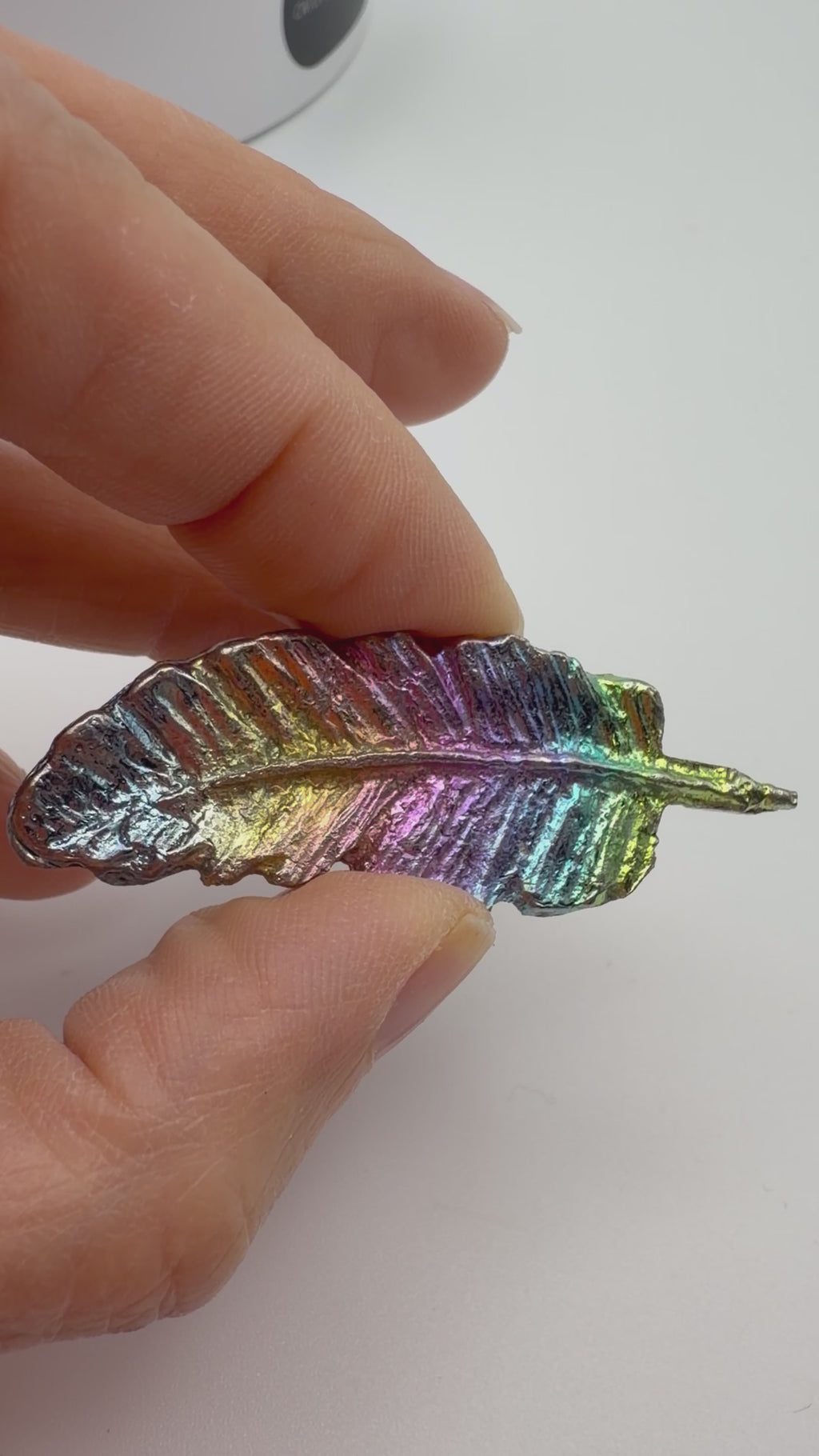 Rainbow Bismuth Feather – 22g