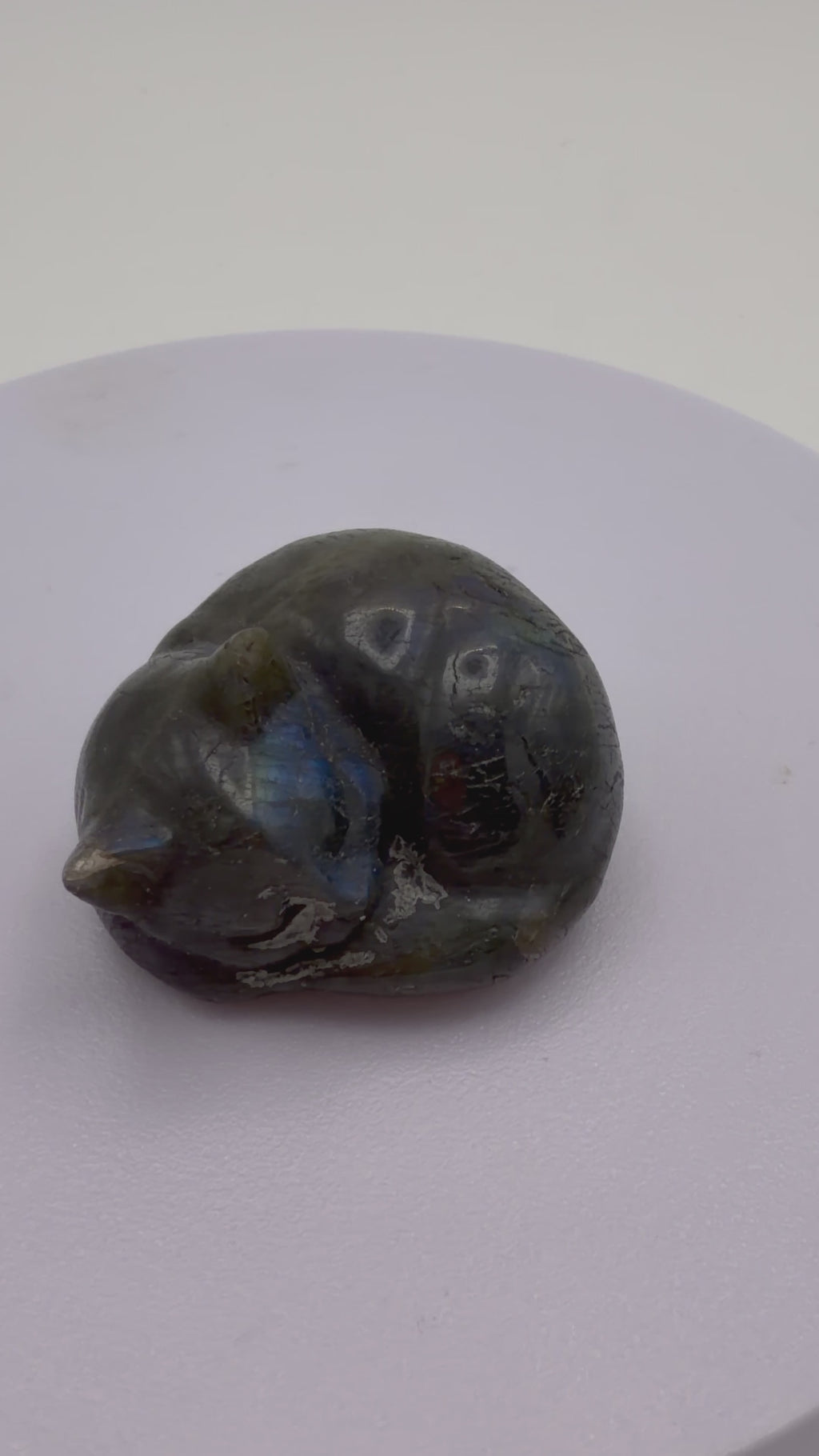 Labradorite Sleeping Cat Carving – Flashy Blue Sheen – 75g