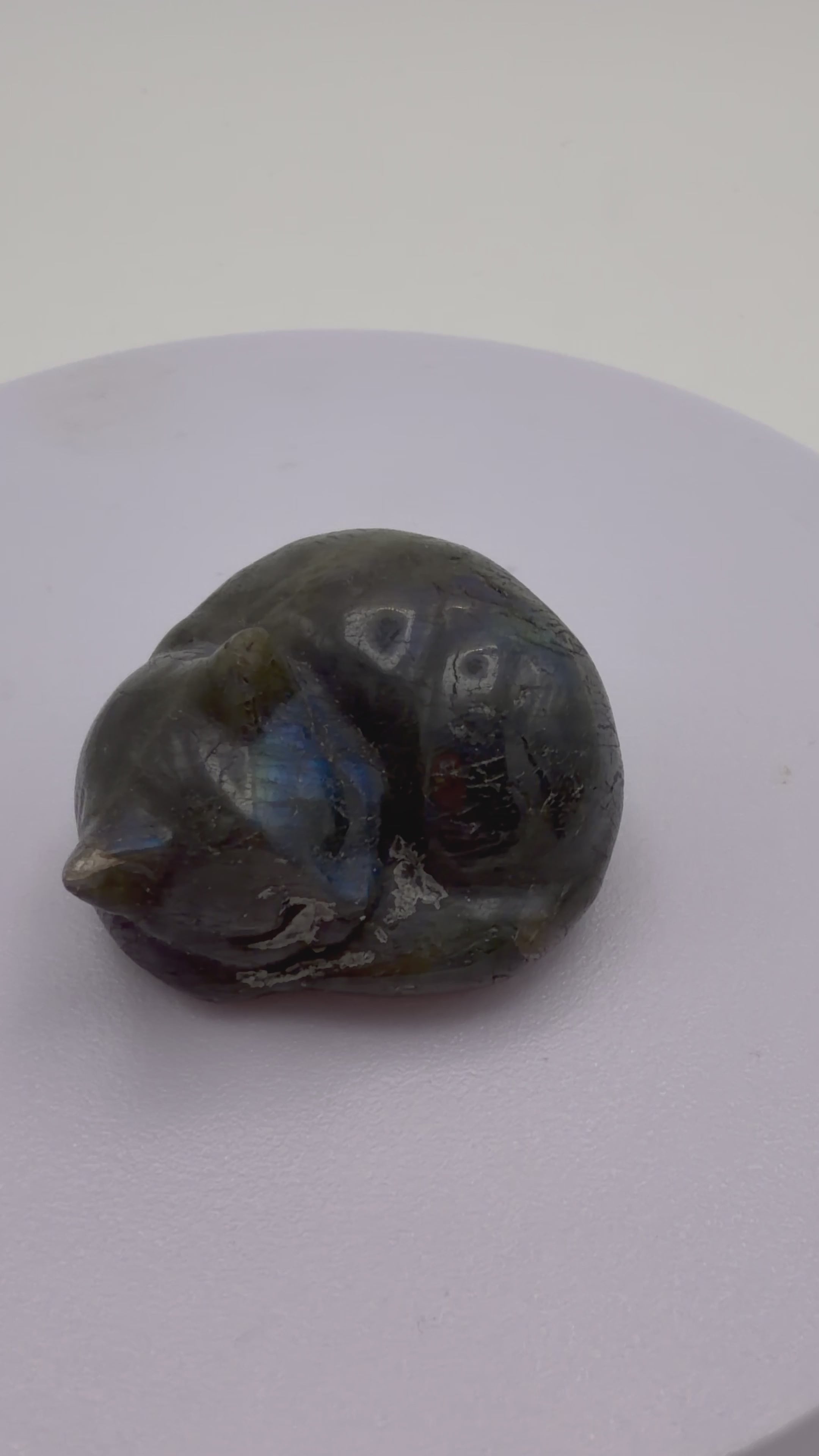 Labradorite Sleeping Cat Carving – Flashy Blue Sheen – 75g