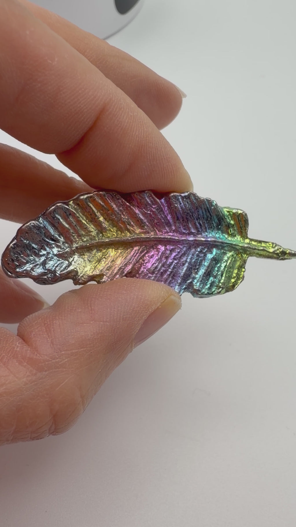 Rainbow Bismuth Feather – 22g