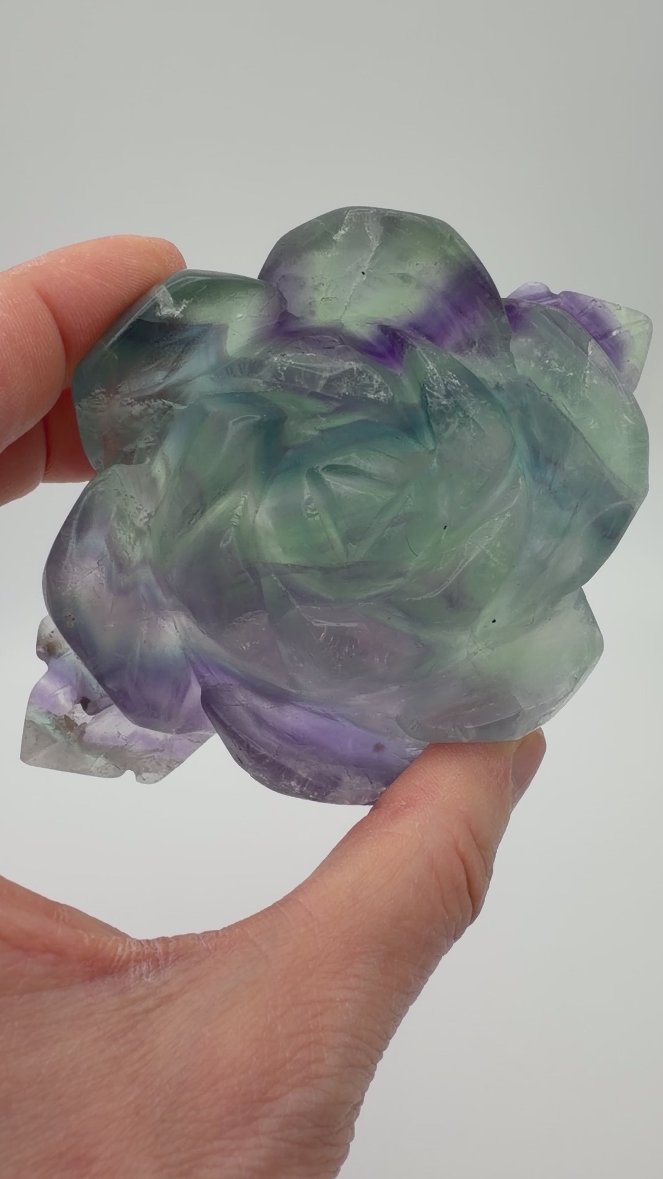 Rainbow Fluorite Rose